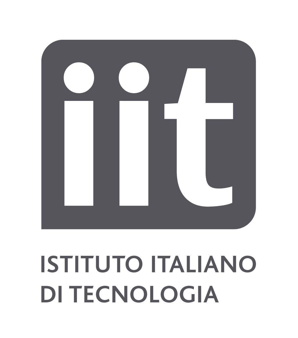 IIT v4 logo t1