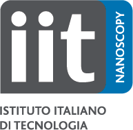 logo IIT nanoscopy t1 web